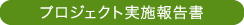 プロジェクト実施報告書